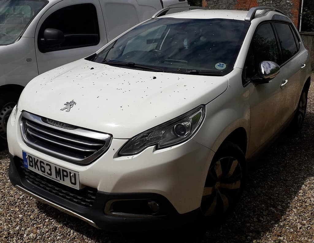 Peugeot 2008 1 fotoğrafı